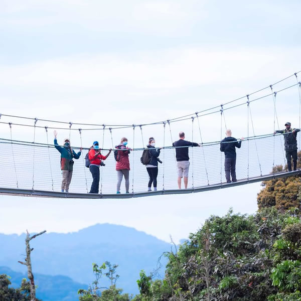 5 Days Akagera and Nyungwe National Park Safari in Rwanda