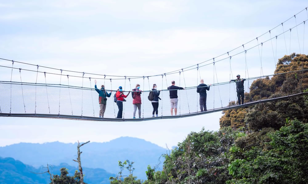 5 Days Akagera and Nyungwe National Park Safari in Rwanda