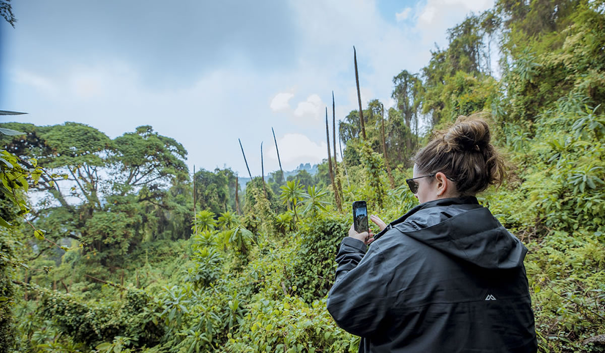 Gishwati-Mukura National Park
