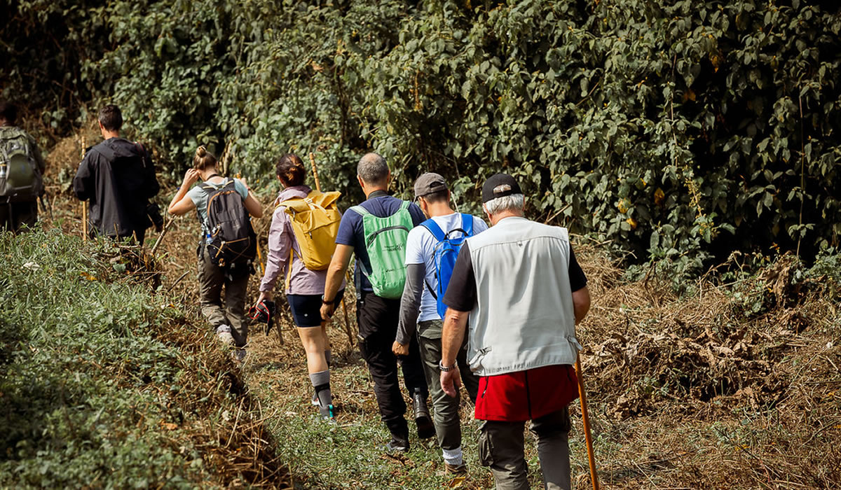 Hiking in Nyungwe Forest National Park