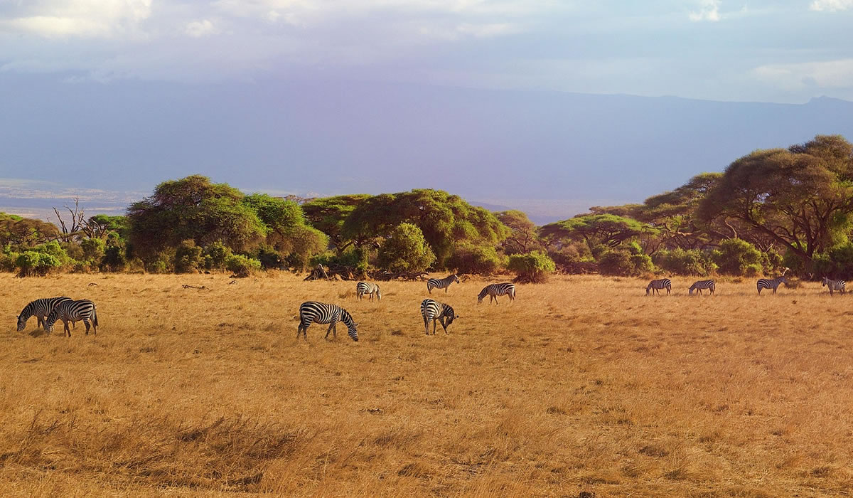 6 Days Kenya Classic Safari Adventure