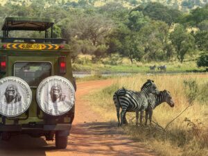 1 Day Akagera national Park Adventure.