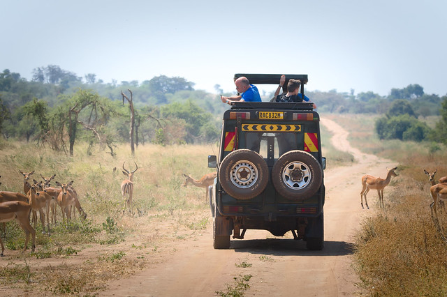 rwanda safari tour enjoyment