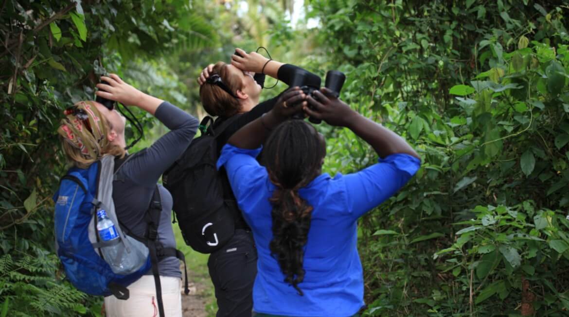 Rwanda birding tours