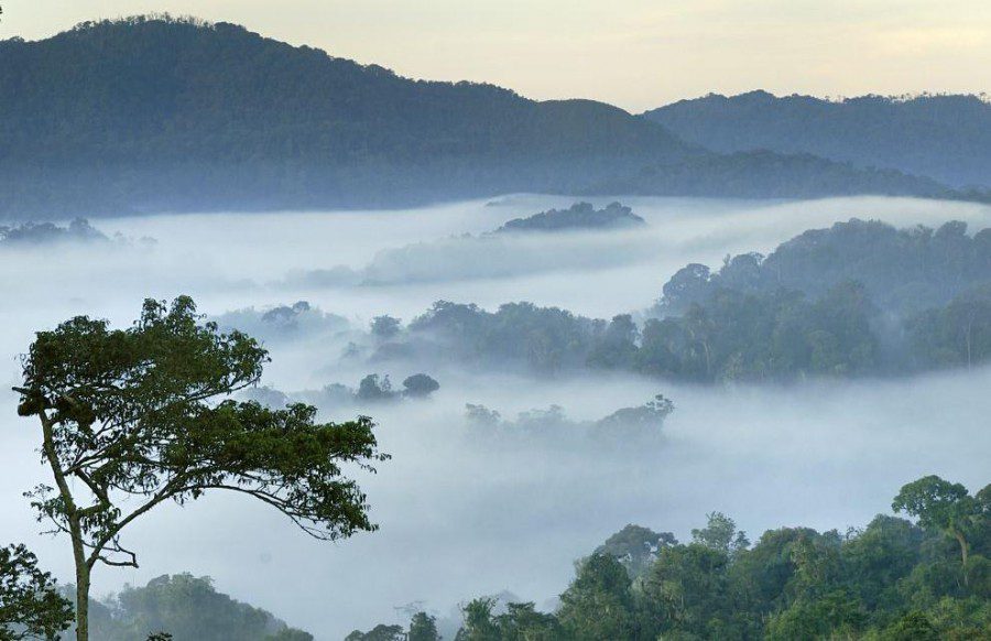 clouds inside nyungwe national park